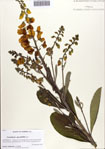 000086747-thumbnail.jpg