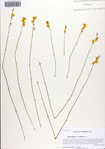 000086763-thumbnail.jpg