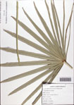 000086789-thumbnail.jpg