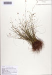 000086820-thumbnail.jpg