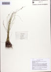 000086823-thumbnail.jpg