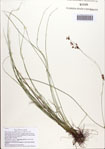000086825-thumbnail.jpg