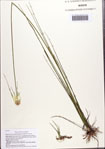 000086827-thumbnail.jpg