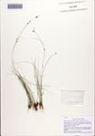 000086829-thumbnail.jpg