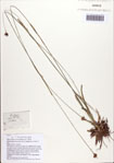 000086833-thumbnail.jpg