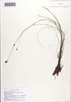 000086834-thumbnail.jpg