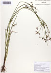 000086837-thumbnail.jpg