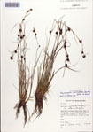 000086845-thumbnail.jpg