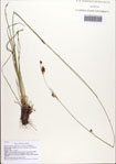 000086847-thumbnail.jpg