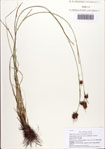 000086848-thumbnail.jpg