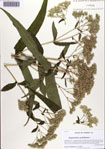 000086883-thumbnail.jpg