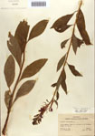 000086946-thumbnail.jpg