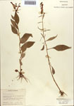 000086963-thumbnail.jpg
