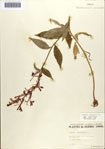 000086967-thumbnail.jpg