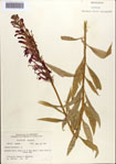 000086968-thumbnail.jpg