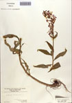 000086973-thumbnail.jpg