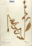 000086977-thumbnail.jpg
