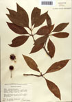 000087043-thumbnail.jpg