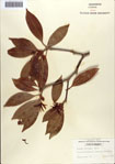 000087047-thumbnail.jpg