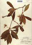 000087048-thumbnail.jpg