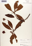 000087054-thumbnail.jpg
