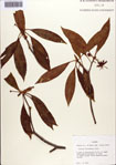 000087057-thumbnail.jpg