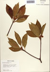 000087059-thumbnail.jpg
