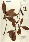 000087061-thumbnail.jpg