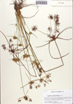 000087181-thumbnail.jpg