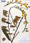 000087513-thumbnail.jpg
