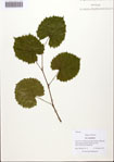 000088126-thumbnail.jpg