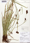 000090116-thumbnail.jpg