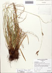 000090119-thumbnail.jpg
