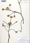 000092208-thumbnail.jpg