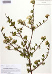 000092210-thumbnail.jpg