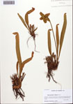 000092232-thumbnail.jpg