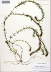 000092293-thumbnail.jpg