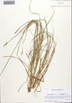 000092325-thumbnail.jpg