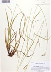 000092341-thumbnail.jpg
