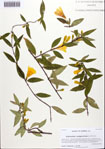 000092344-thumbnail.jpg