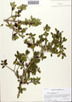 000092348-thumbnail.jpg