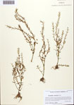 000092364-thumbnail.jpg