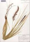 000092476-thumbnail.jpg