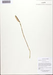 000092506-thumbnail.jpg