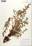 000092616-thumbnail.jpg