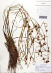 000093054-thumbnail.jpg