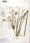 000093056-thumbnail.jpg