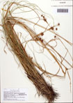 000093057-thumbnail.jpg