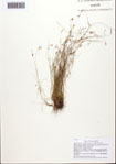 000093058-thumbnail.jpg