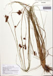 000093059-thumbnail.jpg